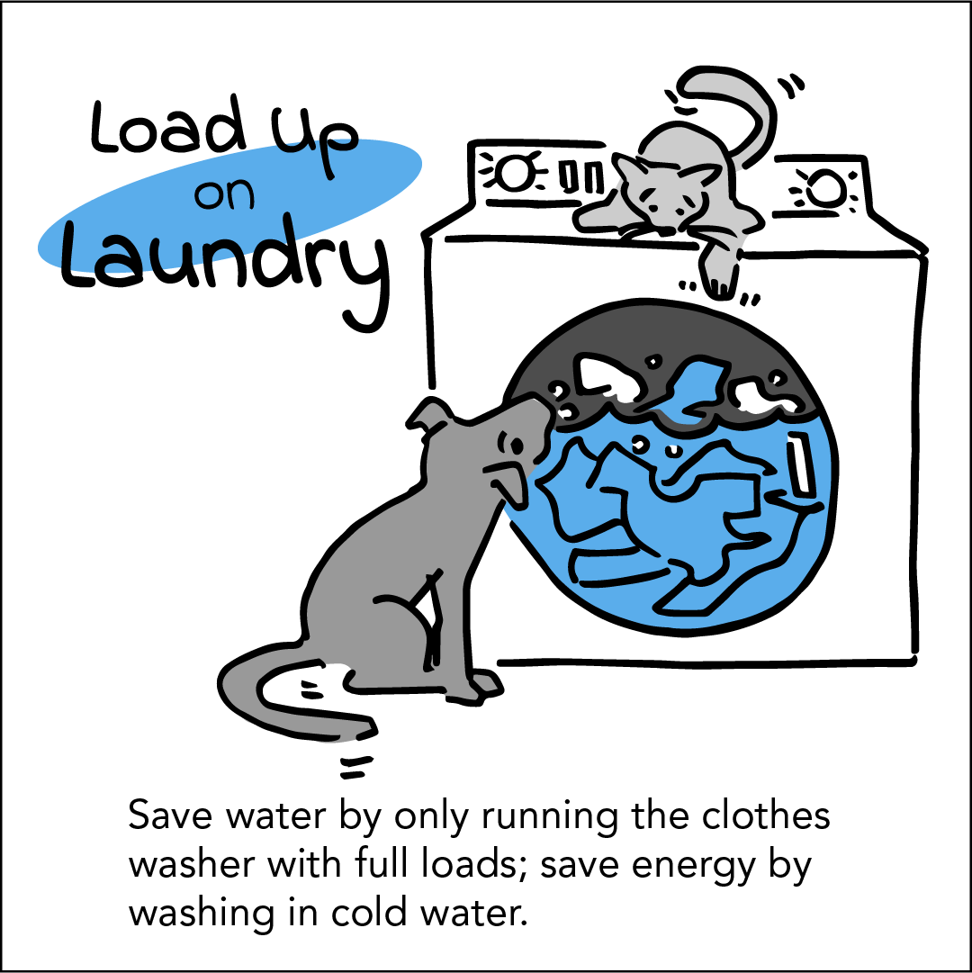 Load Up on Laundry