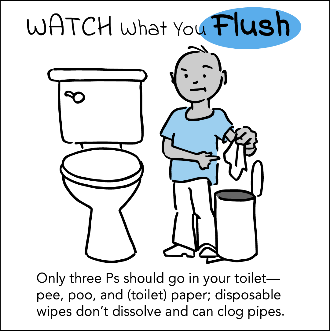 Watch What You Flush