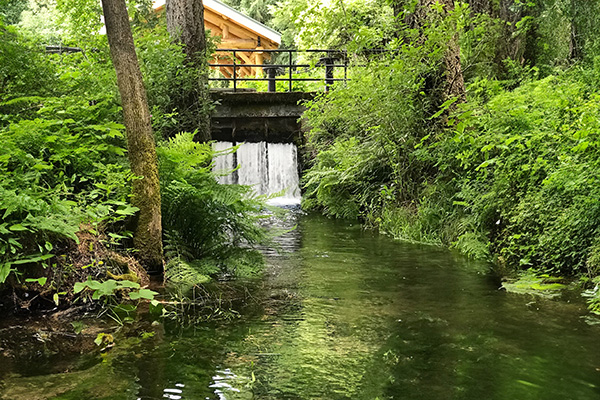 A beautiful creek and structure amongst greenery