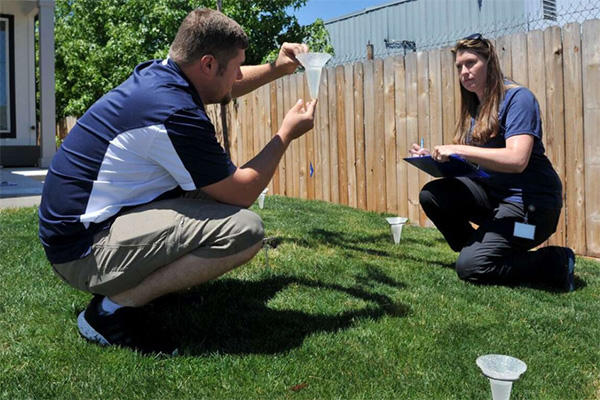 Two employees conducting a sprinkler survey