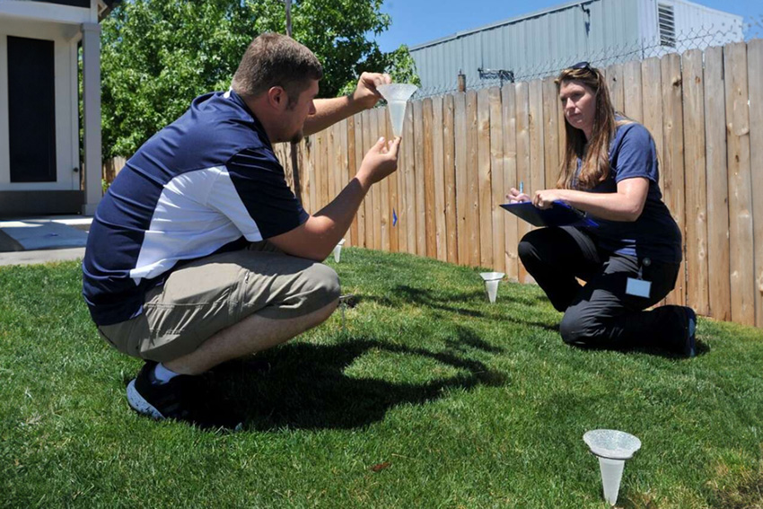 Two employees conduct a sprinkler survey in a backyard.