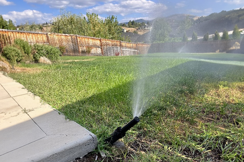A overly pressurized sprinkler waters a back yard lawn.