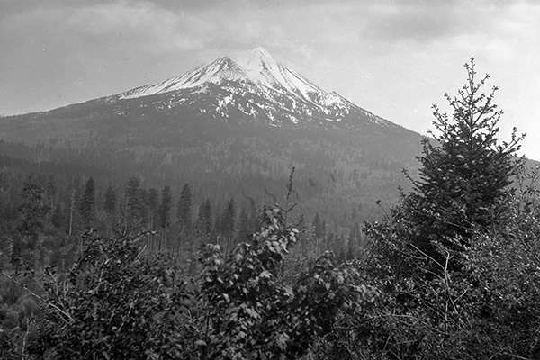 black and white photo of a large snow capped mountain surrounded by trees