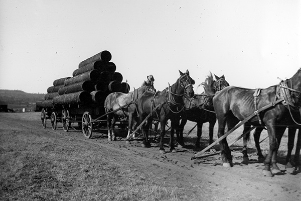 historical image of horses carrying a wagon and materials for fish lake pipe
