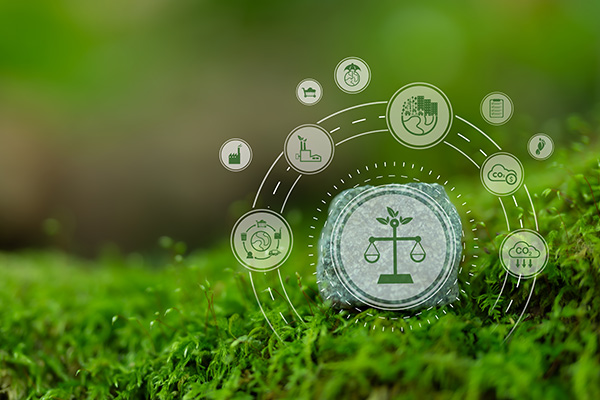 International environmental law concept. Climate or environmental justice. Environmental regulations for sustainable business corporate and industry.