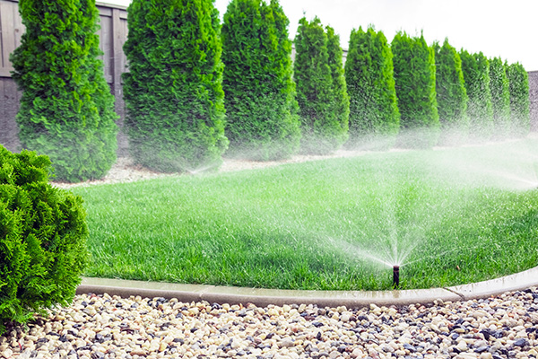 A lawn being watered with a sprinkler system