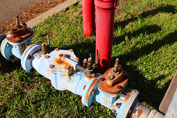 Backflow preventers near a fire hydrant.